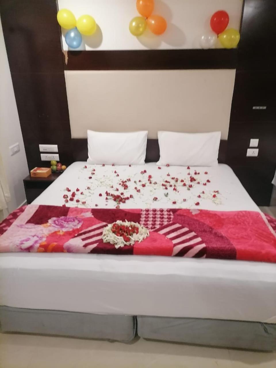 Homestay Summer Dreams